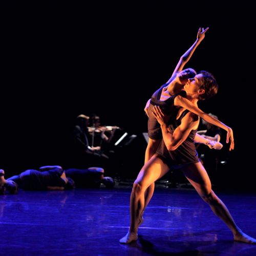 Queensland Ballet - Muscle Memory - Image #1